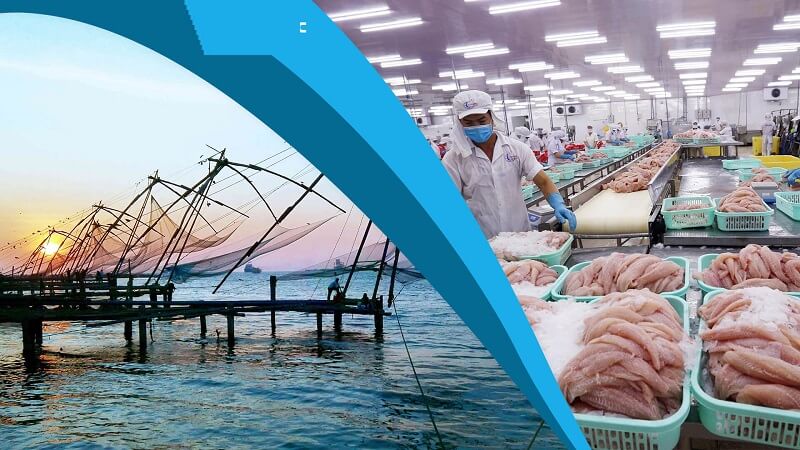 Bạn có thể làm gì sau khi tốt nghiệp chuyên ngành công nghệ chế biến thủy sản