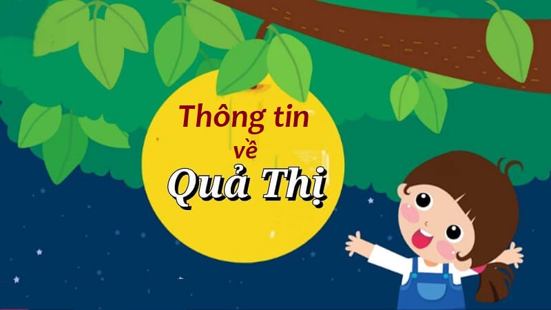 Thông tin giới thiệu về quả thị