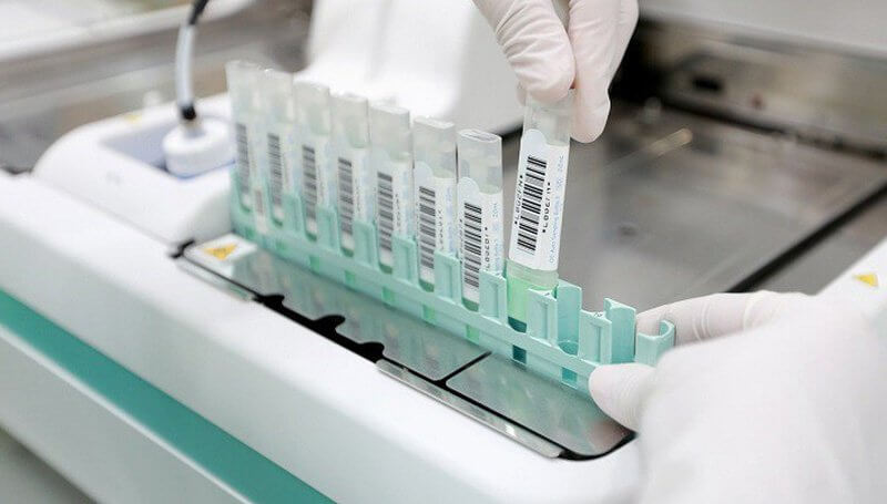 Thử nghiệm thuốc nhanh chóng hơn với tế bào gốc