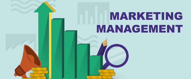 Quản trị Marketing có mức đãi ngộ cực kỳ cao