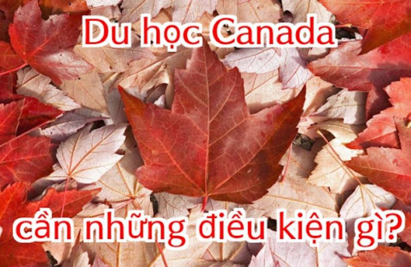 Thủ tục cho du học sinh muốn du học tại Canada