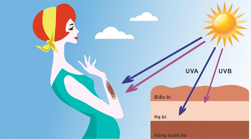 Mắt người không thể nhìn thấy tia UV