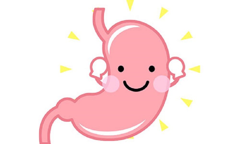 Chống dạ dày bị viêm loét