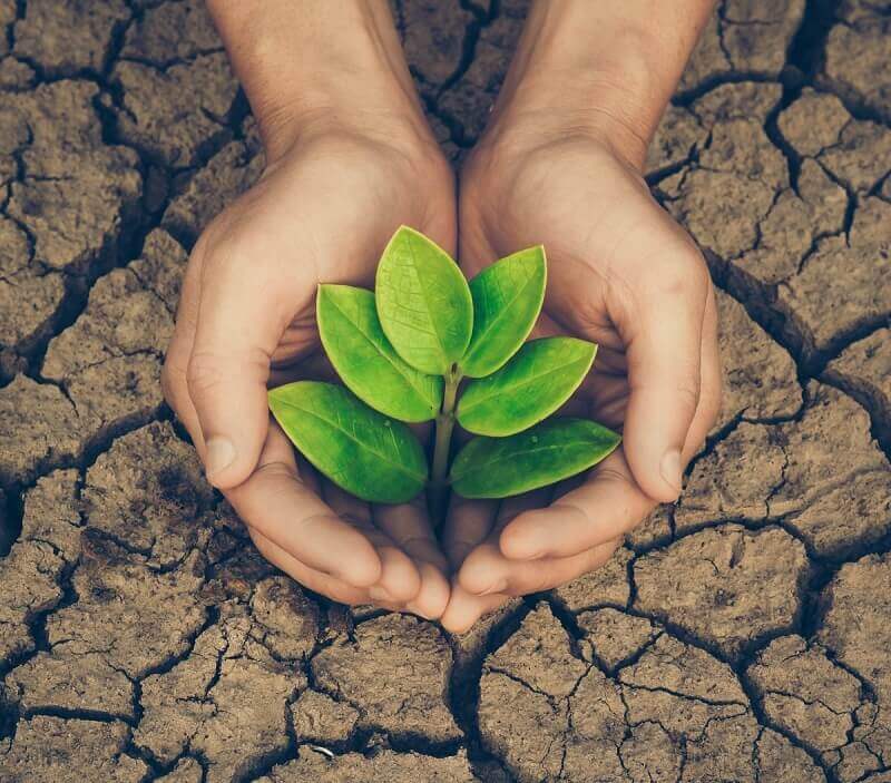 Những cơ hội phát triển ngành tài nguyên và môi trường