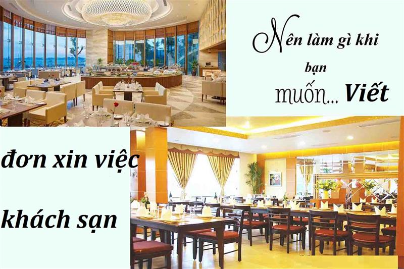 Nên viết gì trong đơn xin việc khách sạn