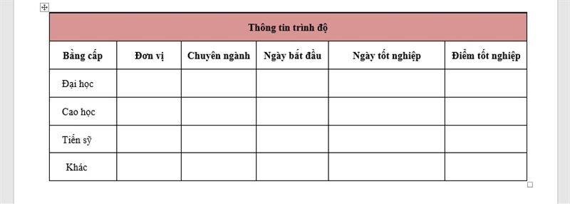 Đơn xin việc vào Samsung có những thông tin gì?