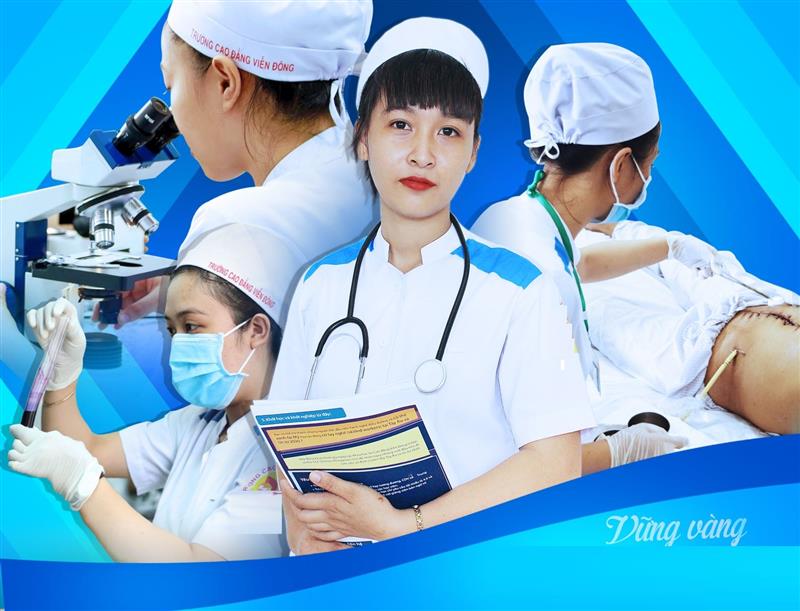 Làm nổi bật kiến thức của bản thân thông qua trình độ học vấn