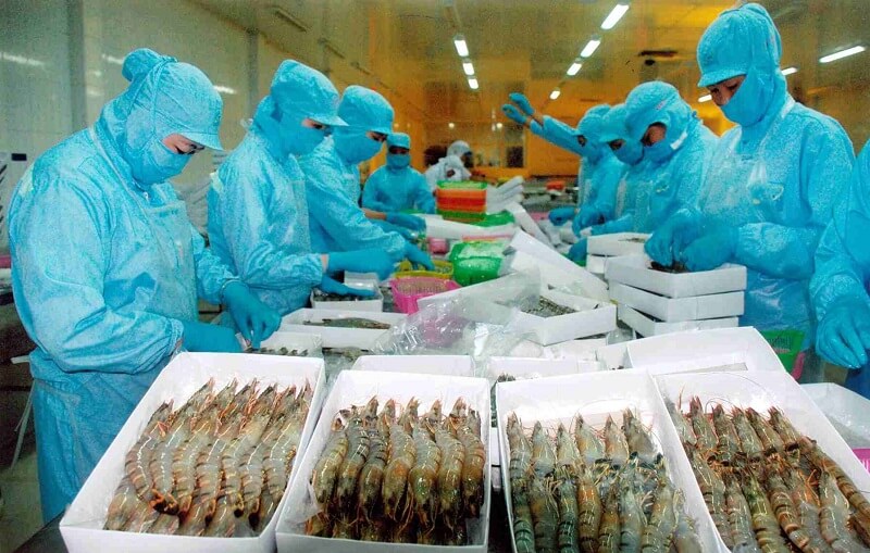Làm gì sau khi tốt nghiệp chuyên ngành công nghệ chế biến thủy sản