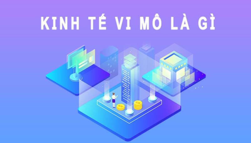 Kinh tế vi mô là gì