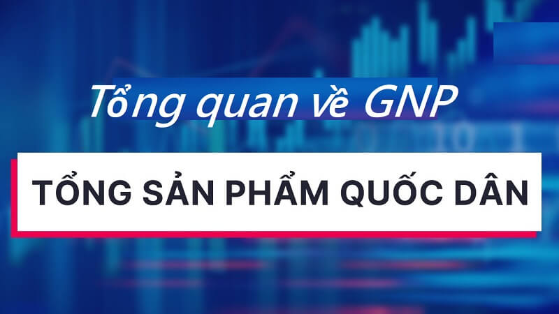 Có những loại GNP nào?