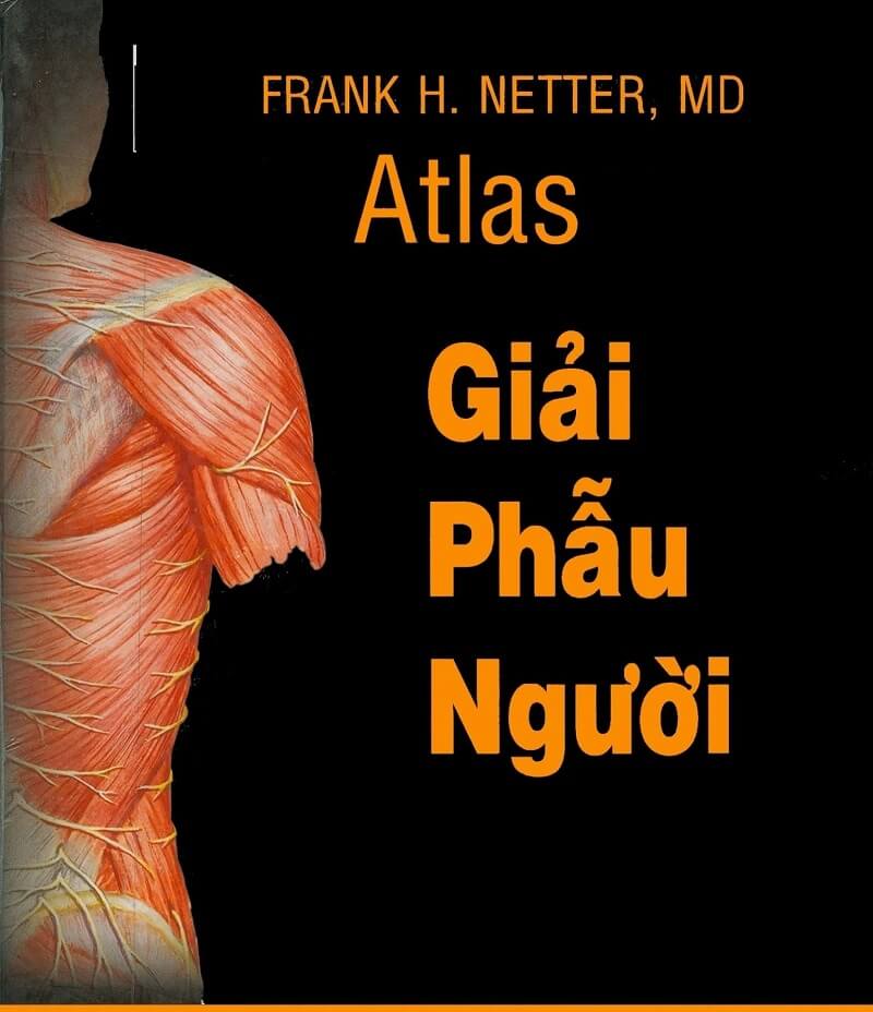 Tìm hiểu chi tiết về bộ môn đào tạo về giải phẫu