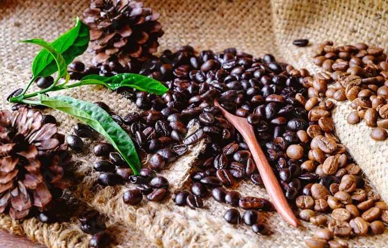 Canh tác cafe hữu cơ