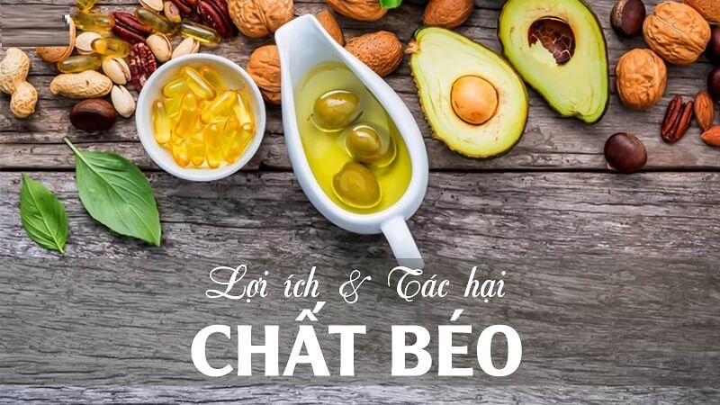 Tìm hiểu thông tin về vai trò, tác hại của chất béo