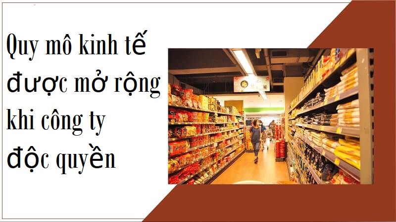 Lợi ích của sự độc quyền về mặt quy mô kinh tế