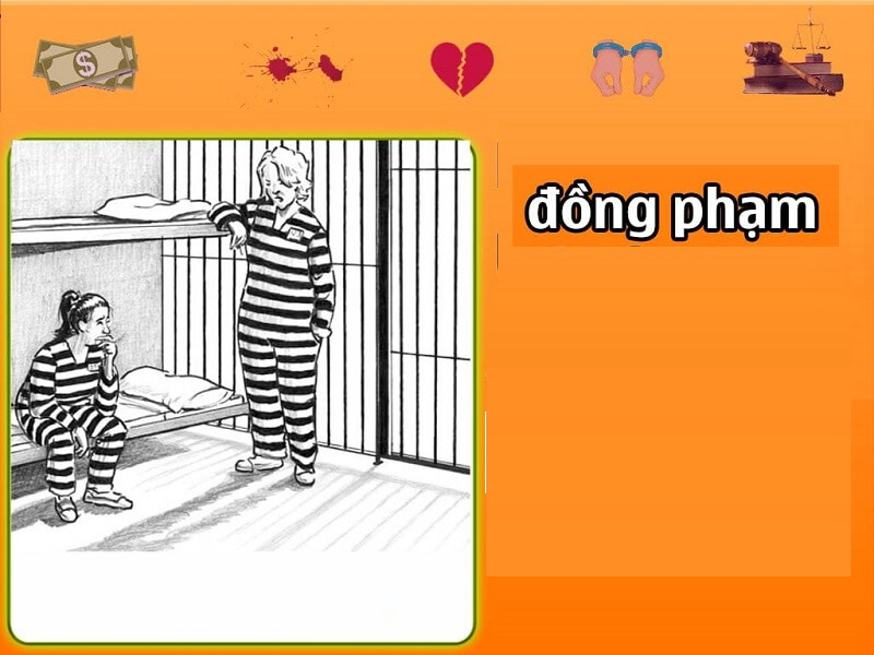 Tìm hiểu về đồng phạm