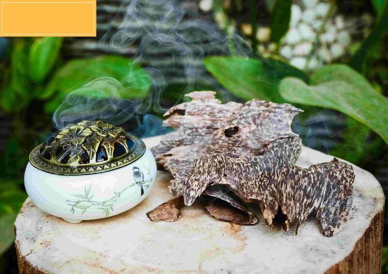 Ý nghĩa phong thủy của Kỳ Nam