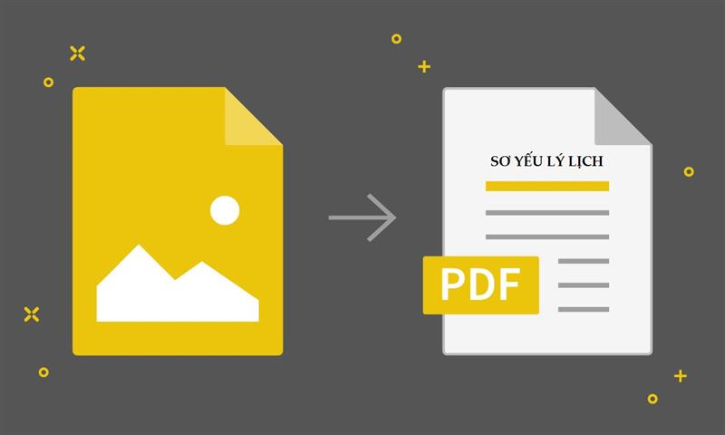 Sơ yếu lý lịch pdf - điểm hạn chế