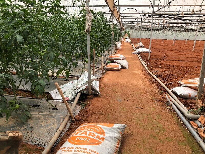 Tìm hiểu phân hóa học