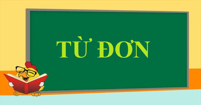 Thông tin khác về từ đơn dành cho bạn