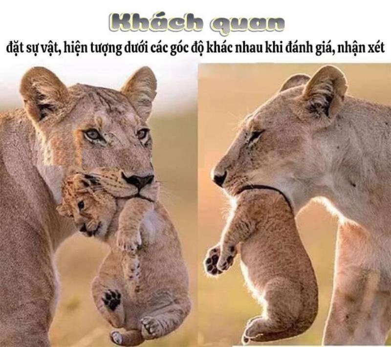 Khách quan chỉ mang tính chất tương đối