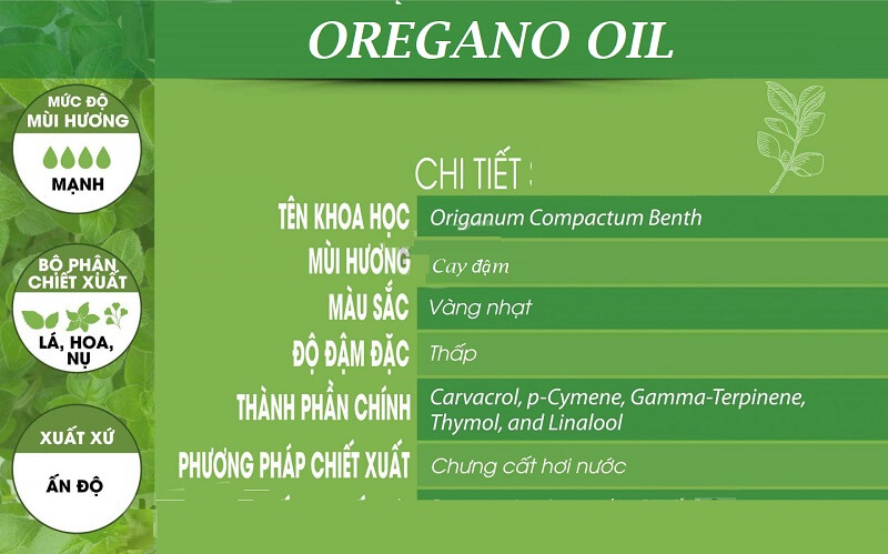 Thành phần của Oregano oil