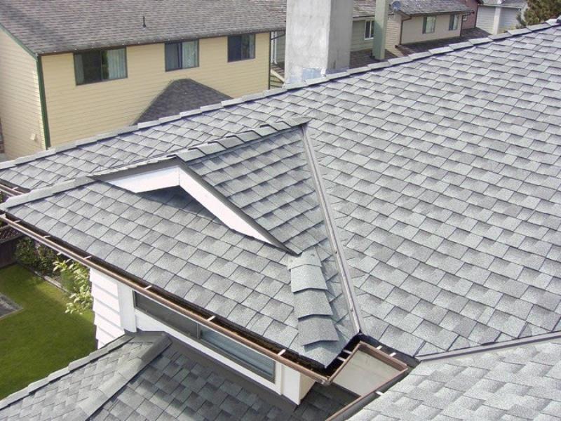 Tôn lợp hữu cơ chịu được thời tiết khắc nghiệt