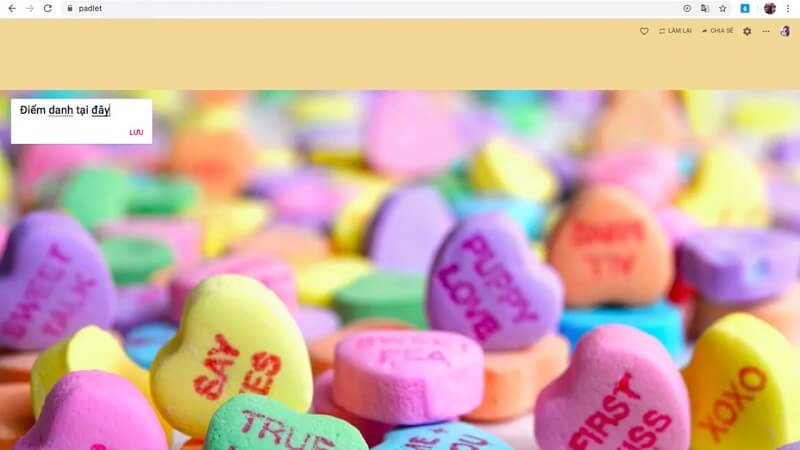 Tìm hiểu tổng quan về Palet