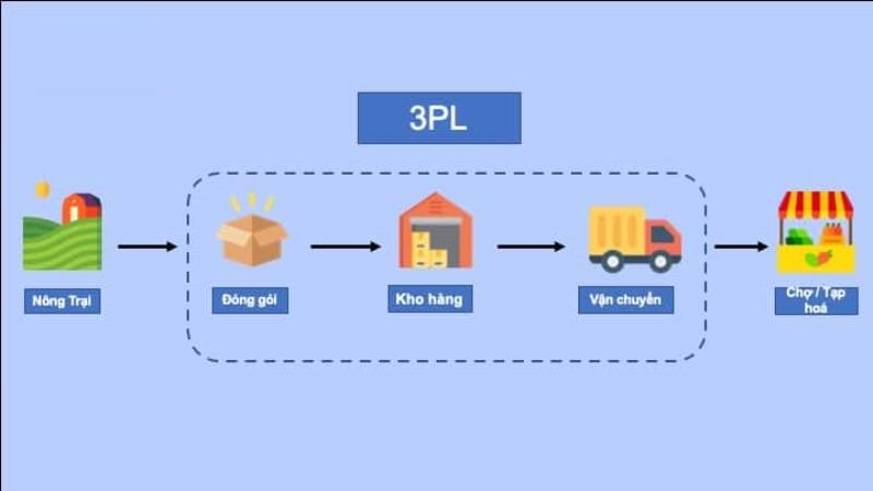 Tiêu chí lựa chọn mô hình Logistics