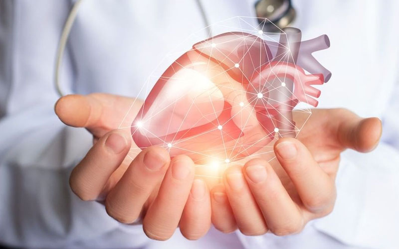 Bảo vệ sức khoẻ tim mạch