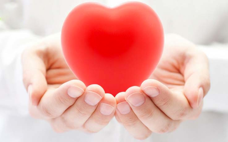 Tốt cho tim mạch và chống ung thư