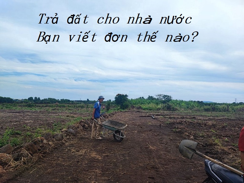 Đơn xin trả đất cho Nhà nước viết khi nào