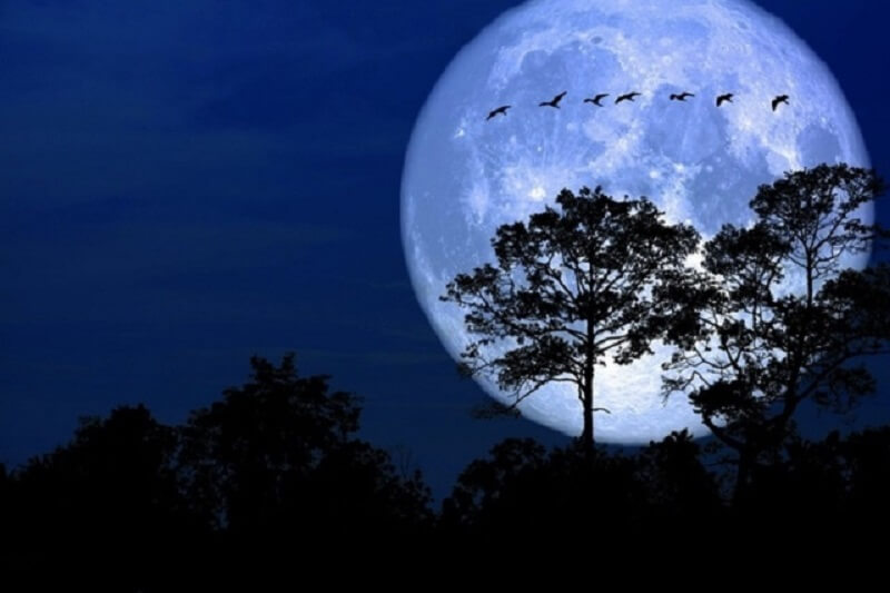 Trăng xanh không có ảnh hưởng gì đáng kể đến con người