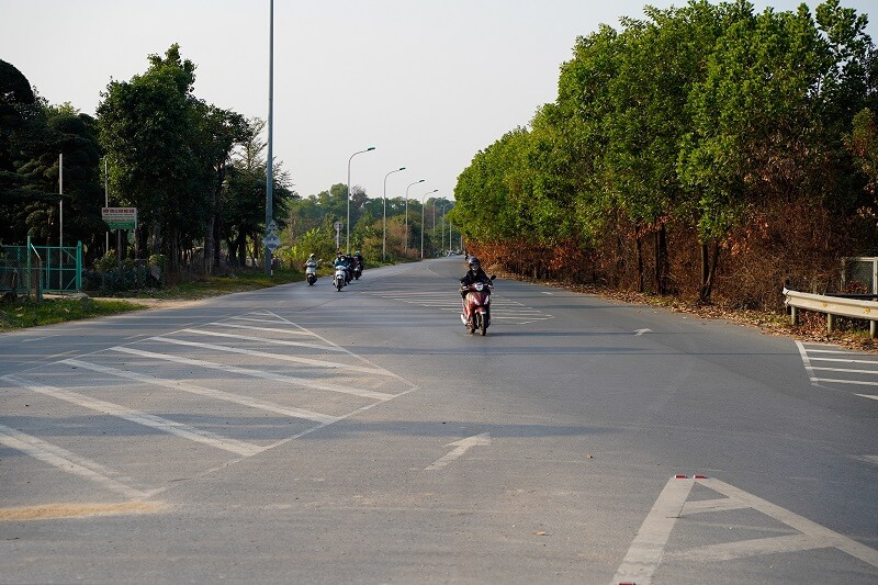 Vạch xương cá là vạch kẻ đường để kênh hóa dòng giao thông cho phương tiện tham gia giao thông