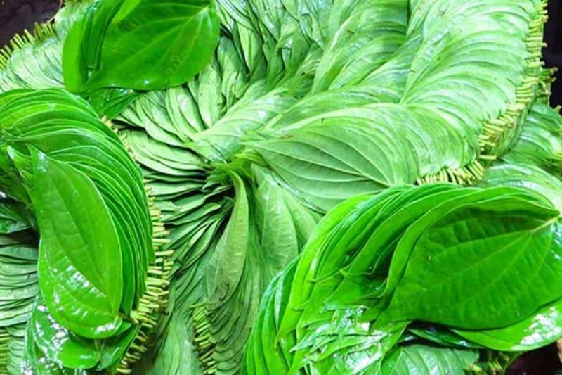 Hỗ trợ giảm cân hoặc tăng cảm giác thèm ăn