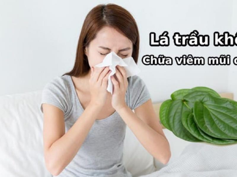 Trầu không hỗ trợ giảm đau