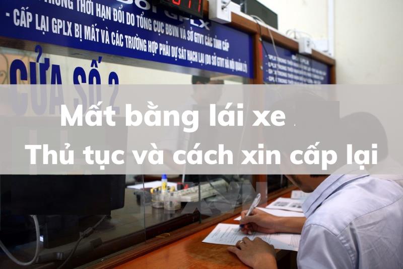 Nguyên tắc trình bày đơn xin cấp lại giấy phép lái xe