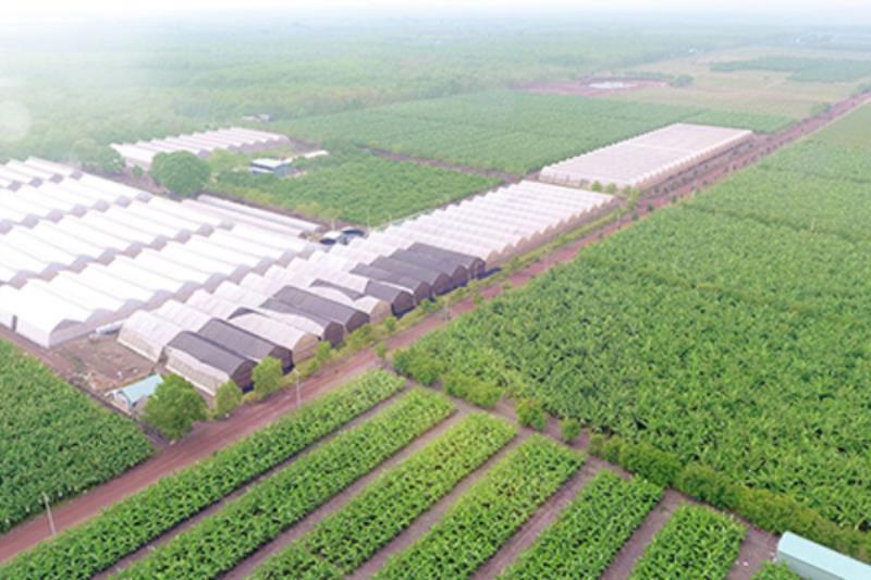 Trình bày nội dung xin giấy phép xây dựng trang trại