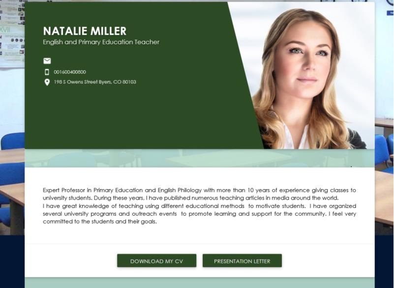 Trình bày summary trong CV như thế nào?