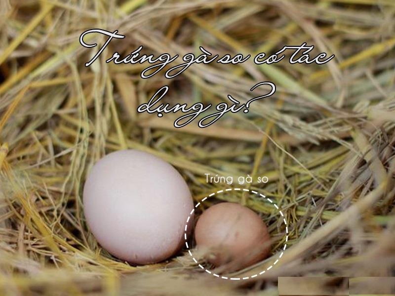 Trứng gà so là gì