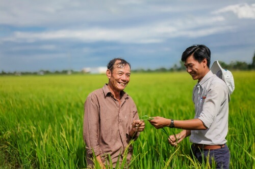 Tư vấn cho người dân