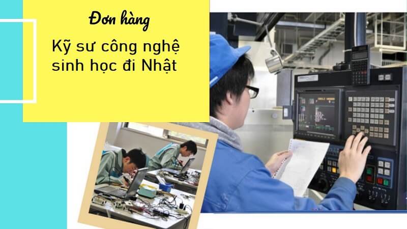 Nhiệm vụ chính của kỹ sư công nghệ sinh học xuất khẩu lao động sang Nhật