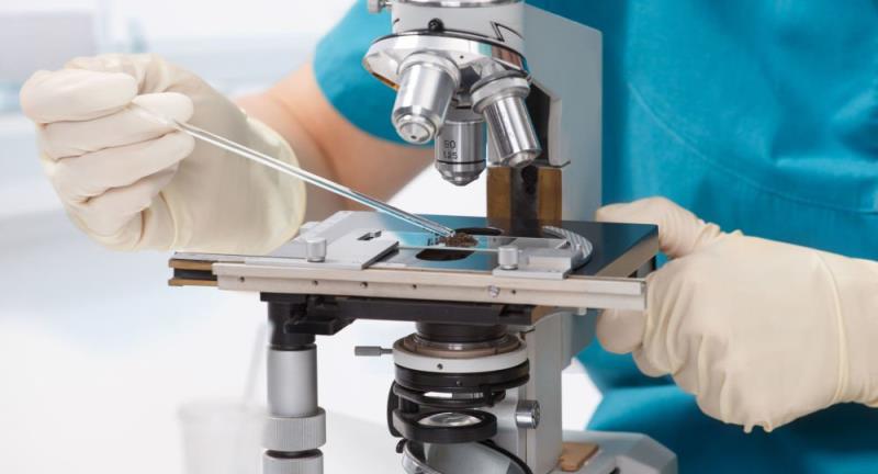 Kính hiển vi sinh học có thể soi nhiều mẫu vật phẩm có kích thước nhỏ