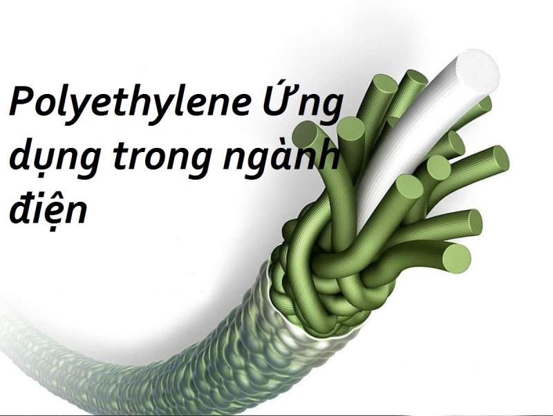 Tìm hiểu ứng dụng của PE