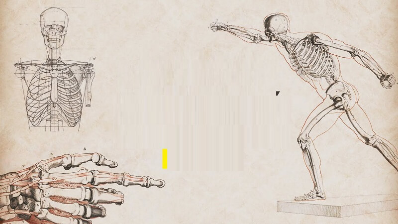 Ứng dụng của giải phẫu bệnh