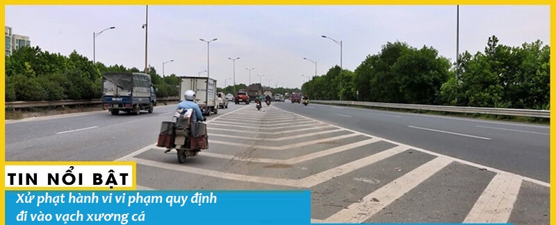 Xử phạt xe máy khi vi phạm quy định về vạch xương cá