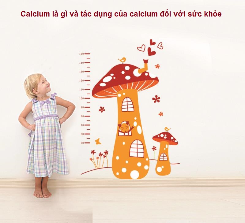 Mẹo bổ sung calcium hiệu quả
