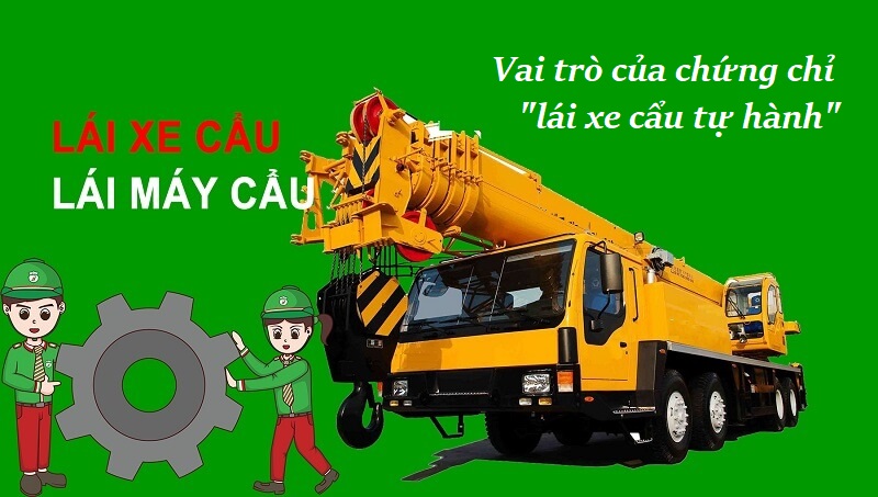 Tìm hiểu vai trò của chứng chỉ lái xe cẩu tự hành quan trọng thế nào