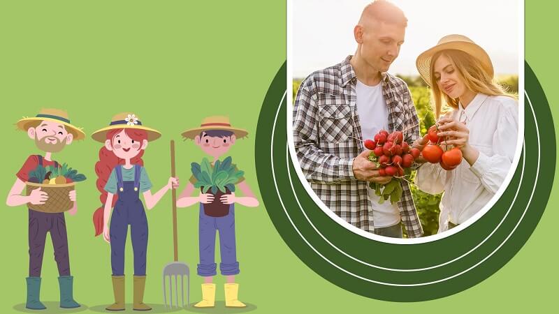 Vai trò của keo đất quan trọng ra sao