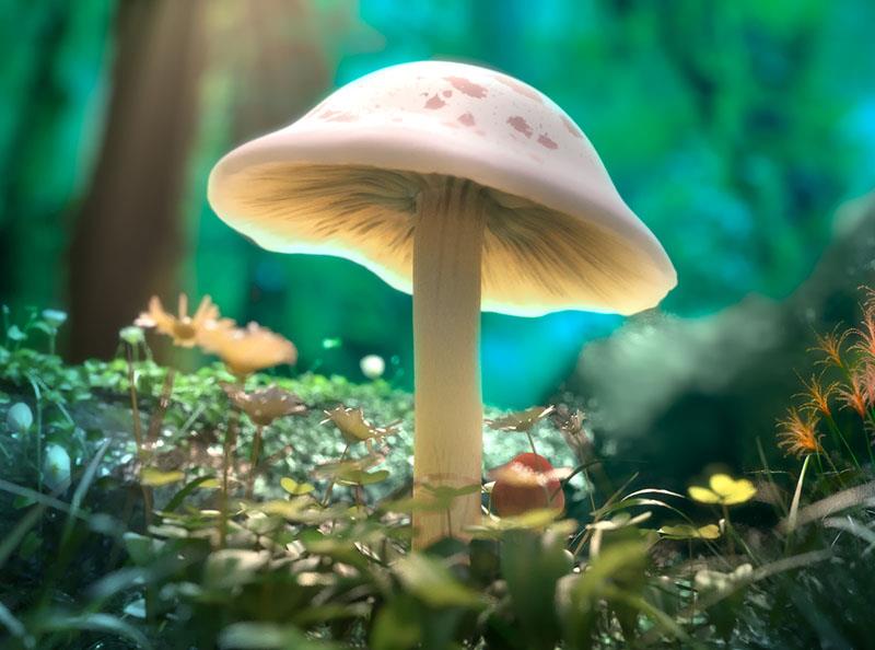 Sinh sản vô tính ở thực vật và vai trò của nó