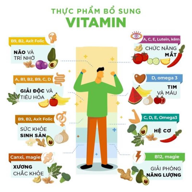 Vai trò của vitamin là gì